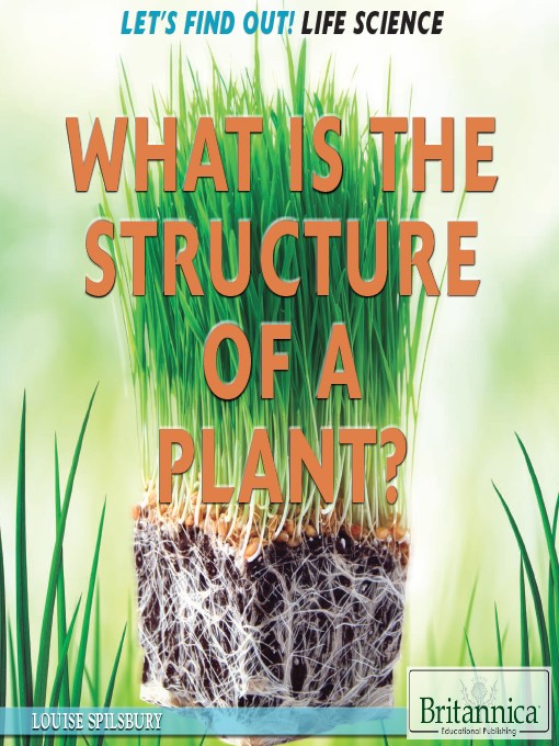 Title details for What Is the Structure of a Plant? by Hope Killcoyne - Available